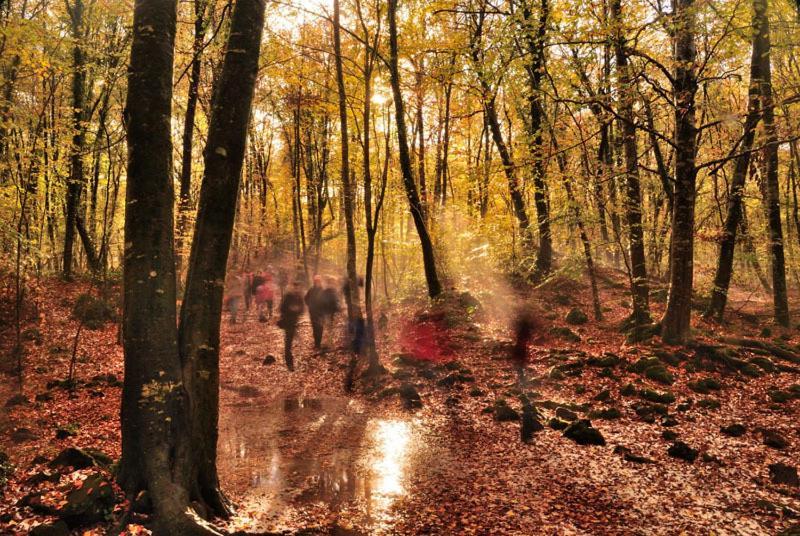 Allotjaments Rurals Pere Petit Santa Pau